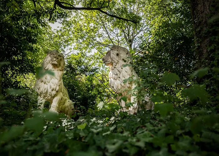 بيت ضيافة Duo